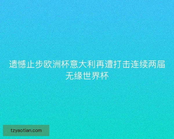遗憾止步欧洲杯意大利再遭打击连续两届无缘世界杯