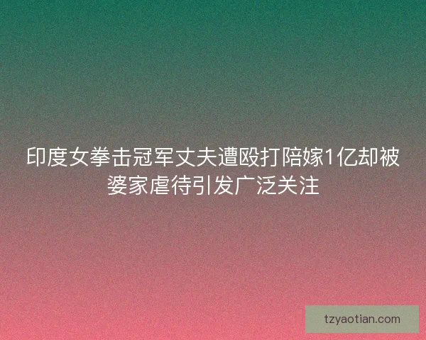 印度女拳击冠军丈夫遭殴打陪嫁1亿却被婆家虐待引发广泛关注