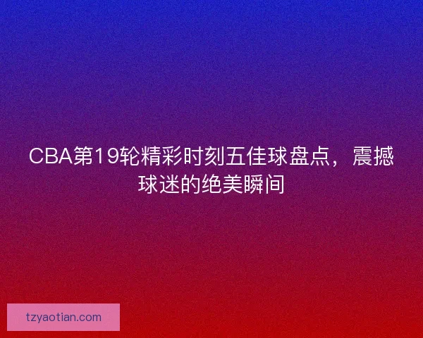 CBA第19轮精彩时刻五佳球盘点，震撼球迷的绝美瞬间