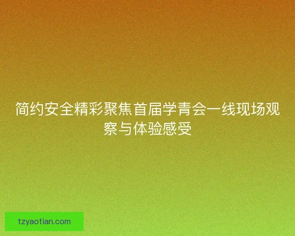 简约安全精彩聚焦首届学青会一线现场观察与体验感受 简约安全精彩聚焦首届学青会一线现场观察与体验感受